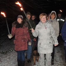 Winterwald bei Nacht
