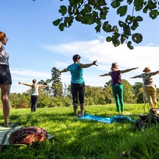 QiGong im Winter / Photo: © Landesforsten.RLP.de/Jonathan Fieber QiGong im Winter
