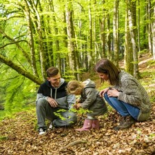 Wald mit allen Sinnen erleben / Photo: © Landesforsten.RLP.de/Jonathan Fieber Wald mit allen Sinnen erleben