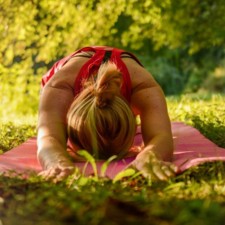 Wald Yoga / Photo: © pixabay Wald Yoga