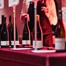 Altstadtf�hrung & Rotwein