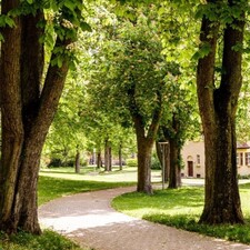 Parkführung / Photo: © Zentrum für Psychiatrie Weinsberg Parkführung