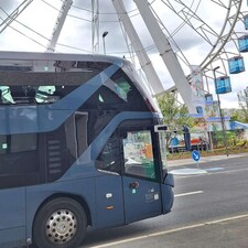 Hafenrundfahrt mit Bus