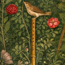 Die Nachtigall und die Rose