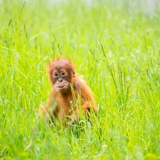 Zoo Amnéville / Photo: © fmp media GmbH